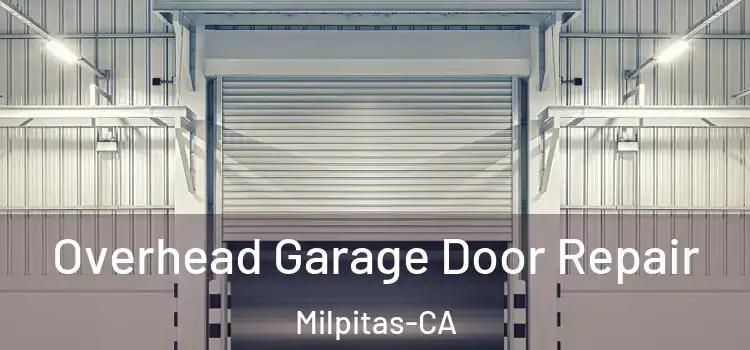  Overhead Garage Door Repair Milpitas-CA