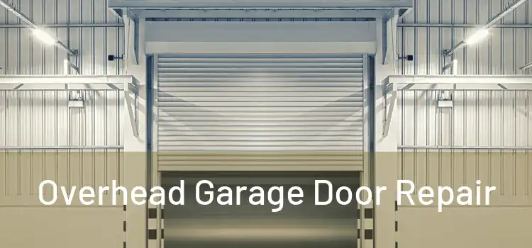  Overhead Garage Door Repair 